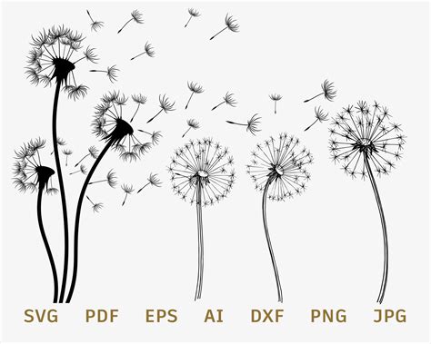 Dandelion Silhouette SVG - 52+  Free Flowers SVG PNG EPS DXF