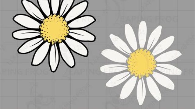 Daisies SVG Free - 53+  Editable Flowers SVG Files