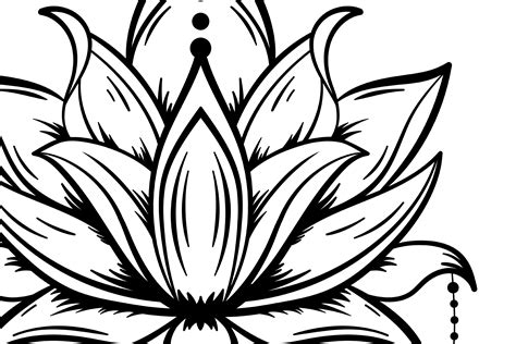 Cricut Lotus Flower - 82+  Flowers SVG Files for Cricut