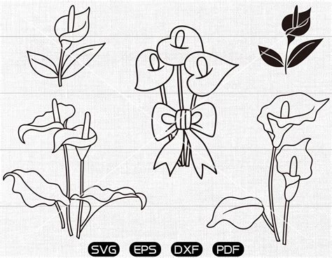 Calla Lily SVG - 87+  Flowers SVG Printable