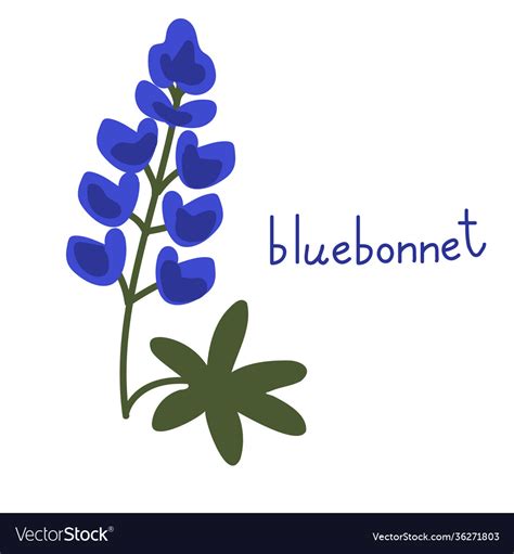 Blue Bonnet SVG - 86+  Flowers SVG Printable
