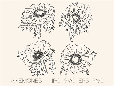 Anemone Flower SVG - 49+  Flowers SVG Printable