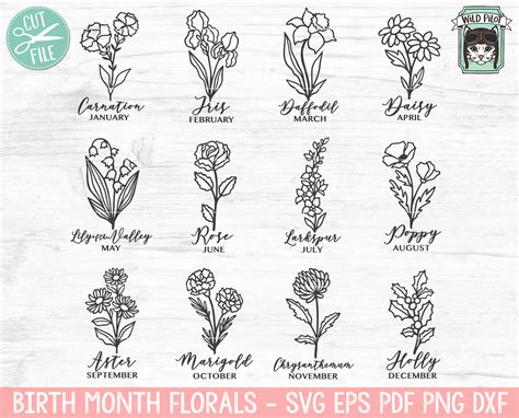 Birth Flower SVG - 54+  Download Flowers SVG for Free
