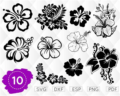 Tropical Flowers SVG Free - 87+  Flowers SVG Printable