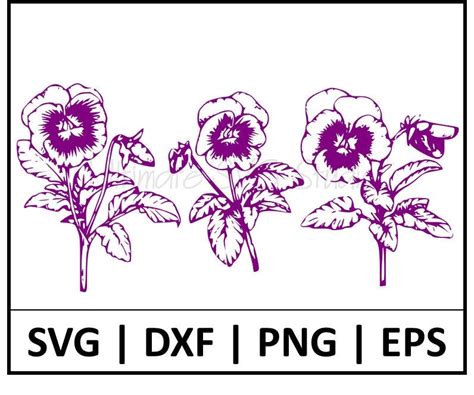 Violet SVG - 99+  Flowers SVG Printable