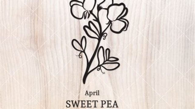 Sweet Pea SVG - 44+  Popular Flowers SVG Cut