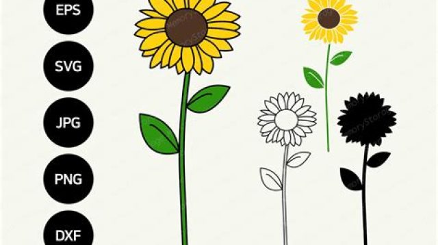 Sunflower With Stem SVG Free - 55+  Flowers SVG Scalable Graphics