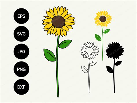 Sunflower With Stem SVG Free - 55+  Flowers SVG Scalable Graphics