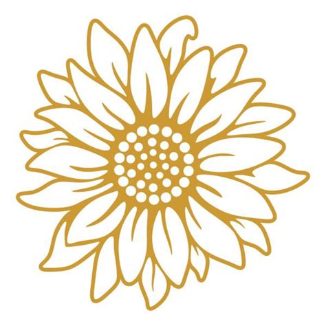 Sunflower On Cricut - 90+  Popular Flowers SVG Cut Files
