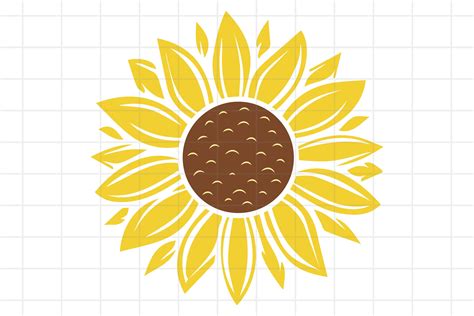 Sun Flower Cricut - 48+  Popular Flowers SVG Cut Files