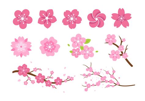 Sakura SVG - 50+  Popular Flowers SVG Crafters File