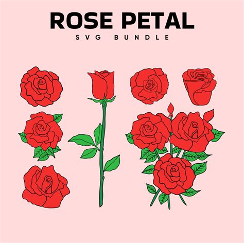 Rose Petal SVG Free - 46+  Flowers SVG Printable