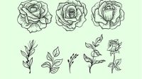 Rose Leaf SVG - 43+  Digital Download Flowers SVG