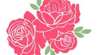 Pink Rose SVG - 22+  Best Flowers SVG Crafters Image