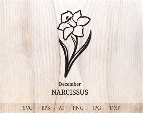 Narcissus Flower SVG - 29+  Popular Flowers SVG Cut