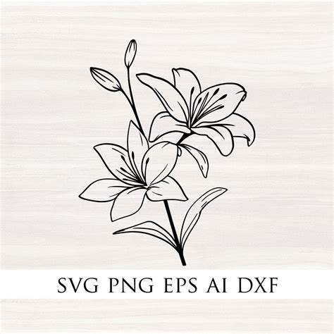 Lily Flower SVG Free - 25+  Ready Print Flowers SVG Files