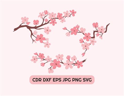 Japanese Cherry Blossom SVG - 86+  Premium Free Flowers SVG