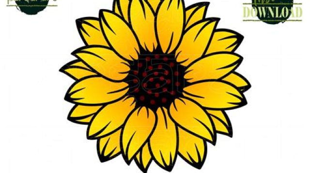 Free Layered Sunflower SVG - 98+  Flowers SVG Scalable Graphics