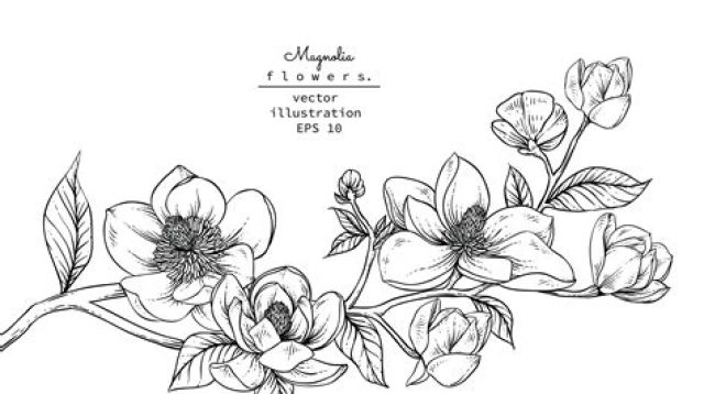 Floral Line Art SVG - 23+  Flowers SVG Scalable Graphics