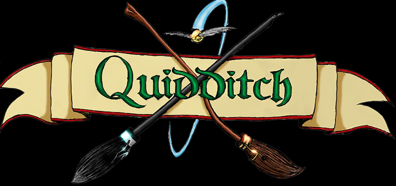 Harry potter quidditch ücretsiz PNG Görüntü | PNG Arts