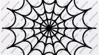 Spider Man Web SVG Free - 97+  Editable Spiderman SVG Files